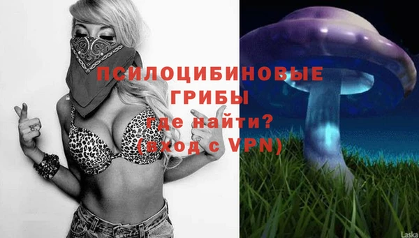 мяу мяу мука Баксан