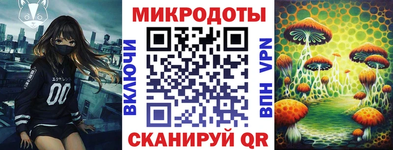 купить наркотик  Петровск-Забайкальский  Галлюциногенные грибы мухоморы 